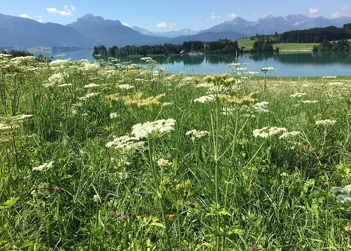 Old Kings DesignFerienwohnung